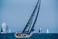 Itajaí Sailing Team leva velejadores da Optimist para o Catarinense de Vela